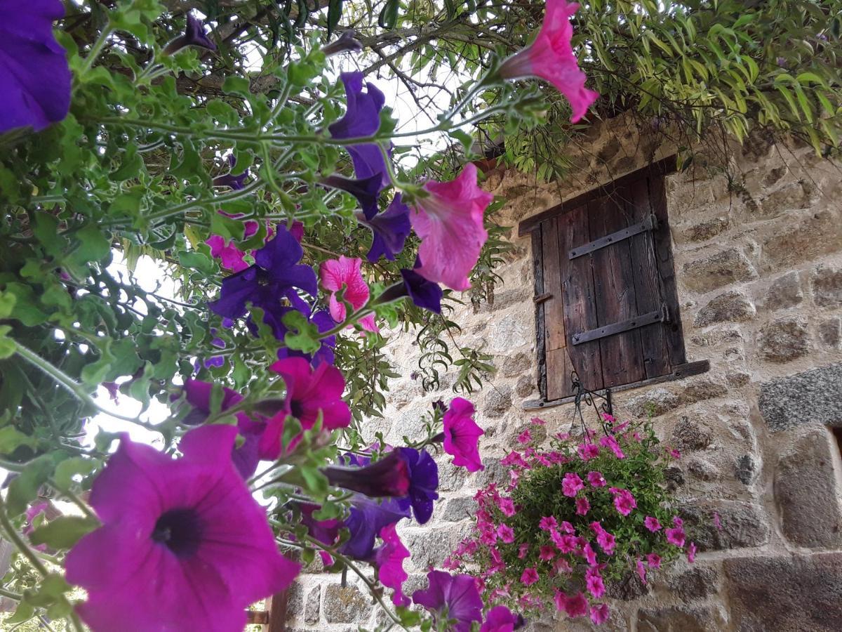 Bed and Breakfast La Belle Ame Saint-Priest-des-Champs Exterior foto